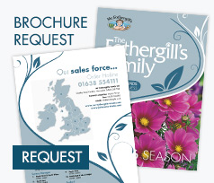 Brochure request