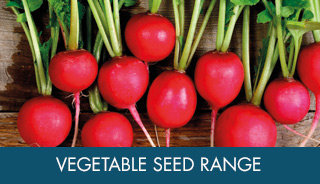 Vegetable Seed Ranges